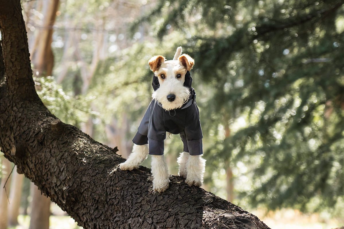 c842b2ff-f89a-41fd-b1d9-c6d5f767771f