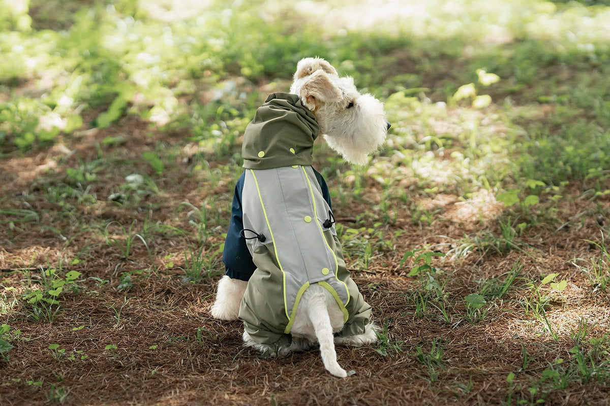 c2796db6-800a-4353-adb4-c8b8ba1d399e