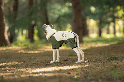 9ec3935f-20c3-4eb7-9a06-550f9c653a37