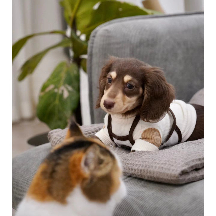 0c54f2ff-5b6e-4c1e-991a-9934370e40ad