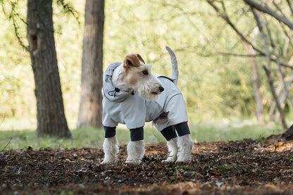 265be5d2-10e2-4c53-88e9-2fcd45a6faae