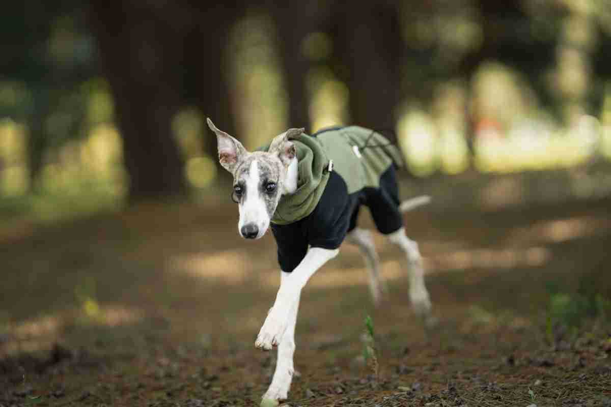 2ad00cac-b2c1-4882-b76b-77f56e5357af