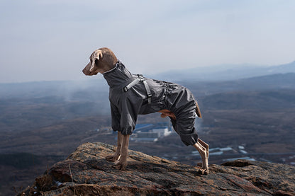 35c08813-dbb1-4b48-a86d-3fac6b64b4ef