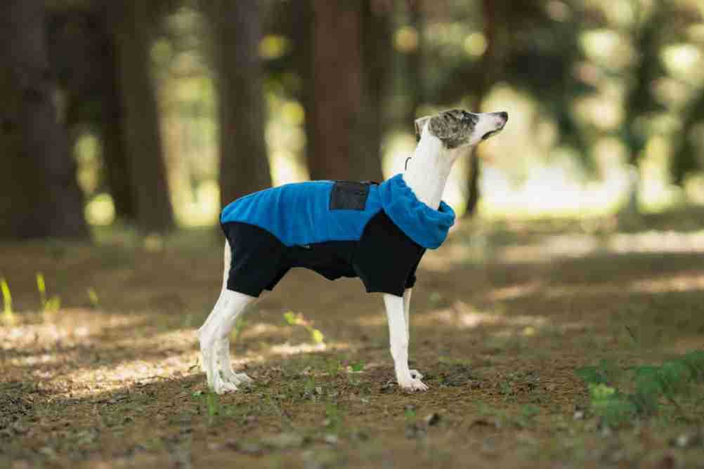 69fe1bfe-4464-45f4-ad70-930d6904a435