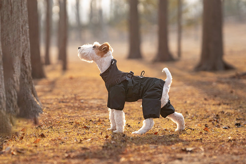 163f7815-f5bf-42bd-a5b9-3166d69d324c