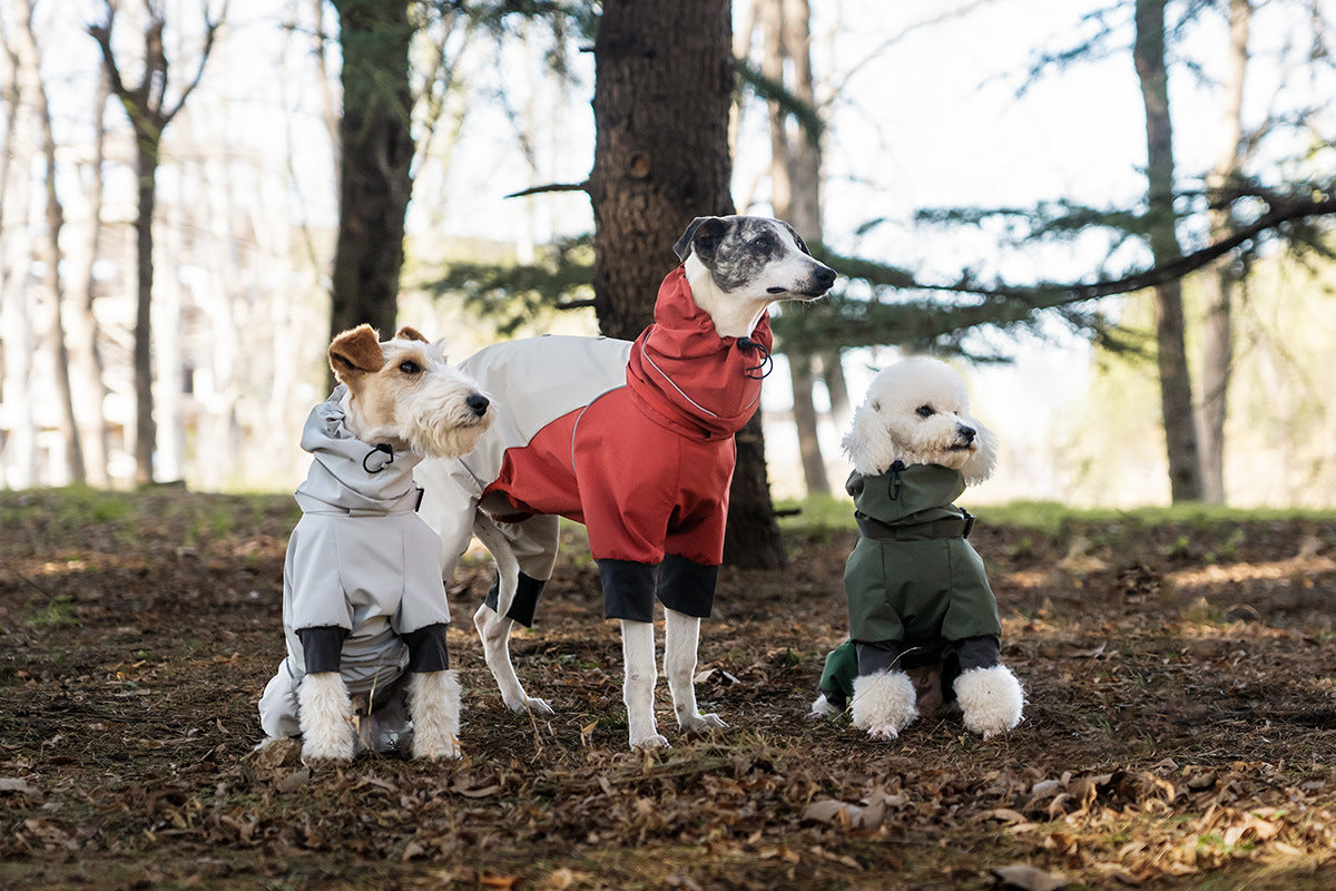 f7b5005a-a69d-4fe4-9eaf-eee9dd421689