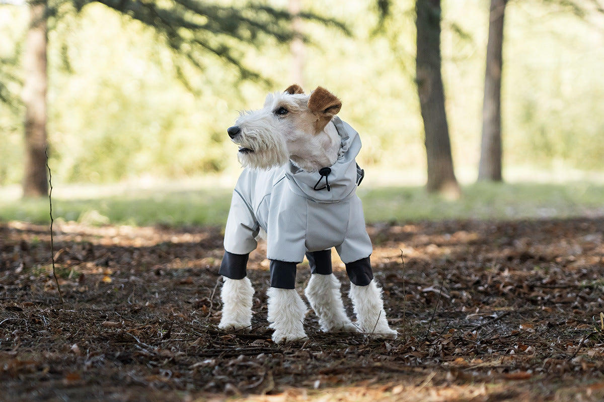 3850d0fb-f255-4a1b-8255-02f48c51fded