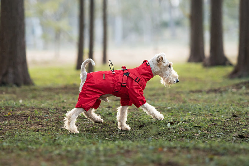 43cd1c79-00a9-450d-98f9-c4759376f267