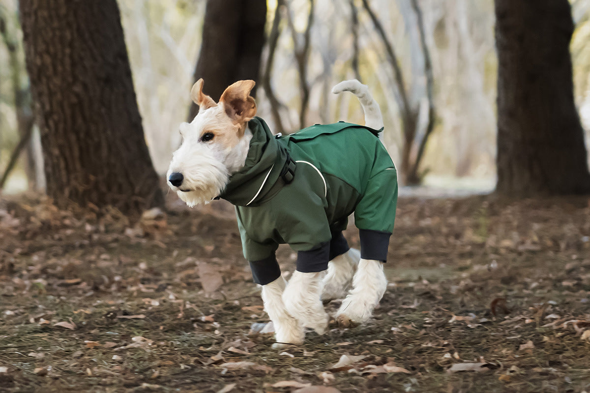 5398f2e4-9fd7-4a85-9470-a5413008d436