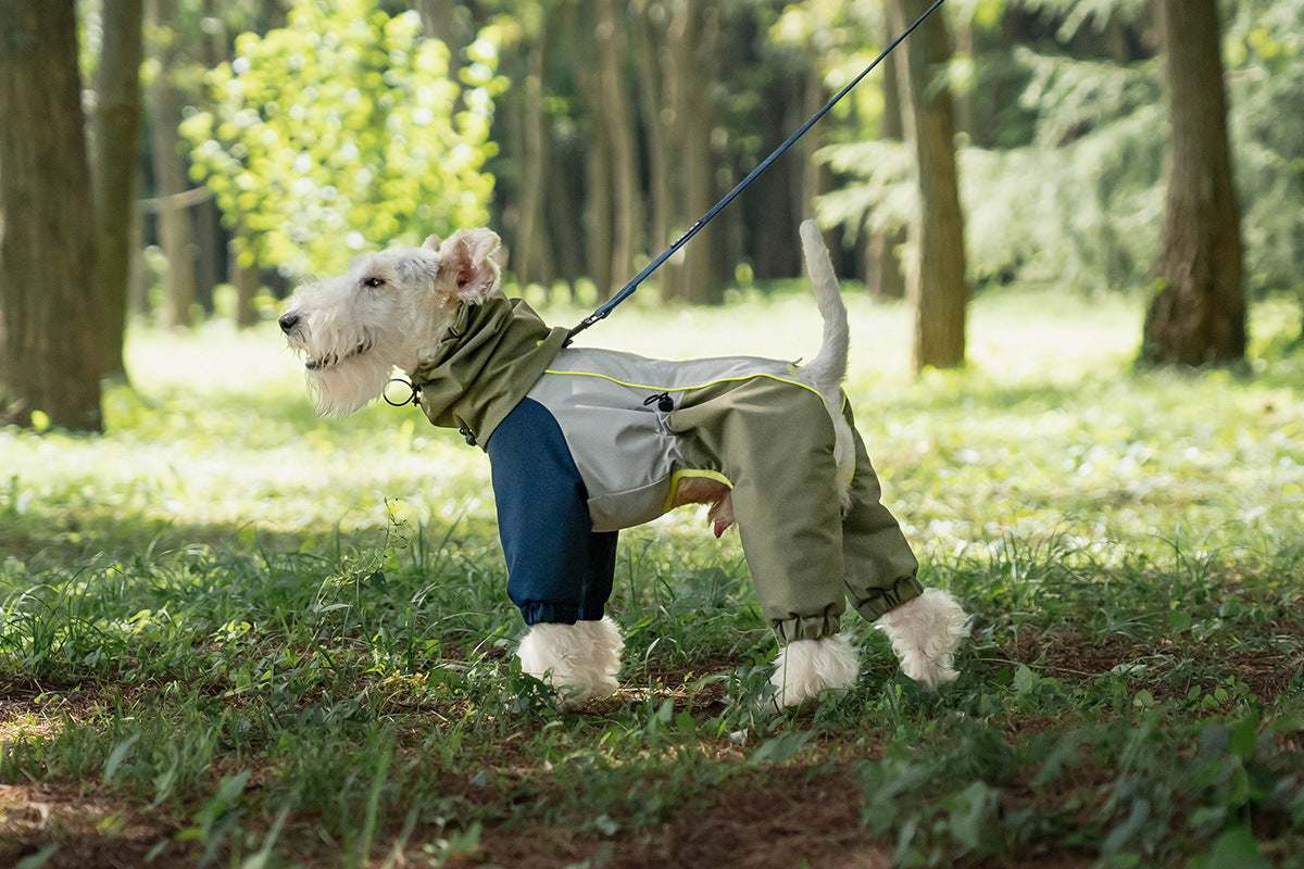 72a8c4b3-1528-4651-a284-aaeabc327834