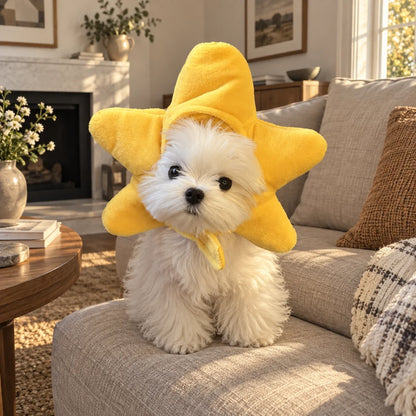 Small white dog wearing a yellow plush star hat in a warm American living room