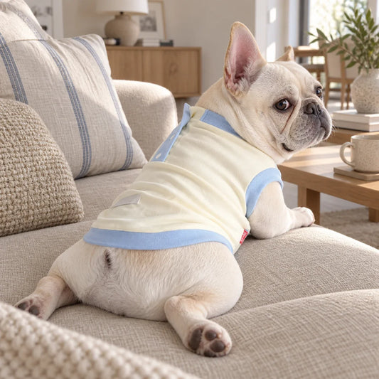 French bulldog lounging in cream and powder blue homewear on an oatmeal sofa