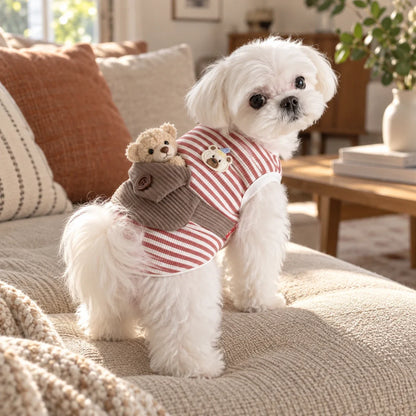 Small white dog wearing a striped backpack vest with a teddy bear