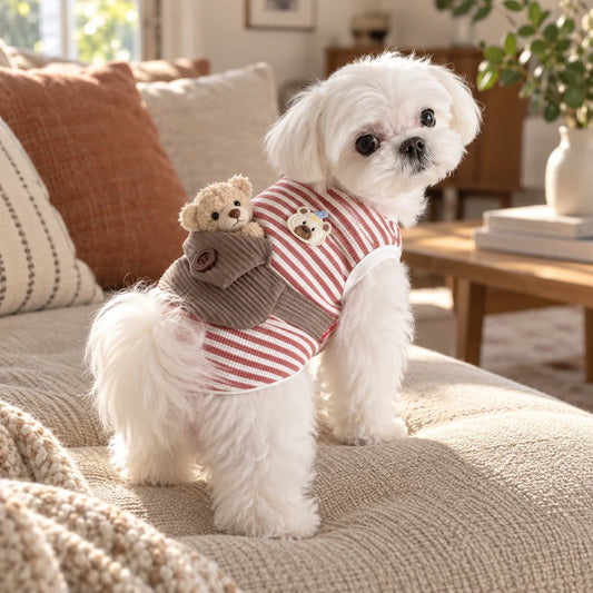 Small white dog wearing a striped backpack vest with a teddy bear