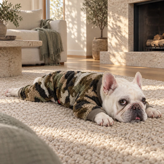 French Bulldog relaxing in four-leg camouflage fleece pajamas