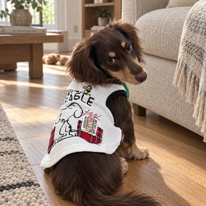 Dachshund wearing a white graphic summer vest