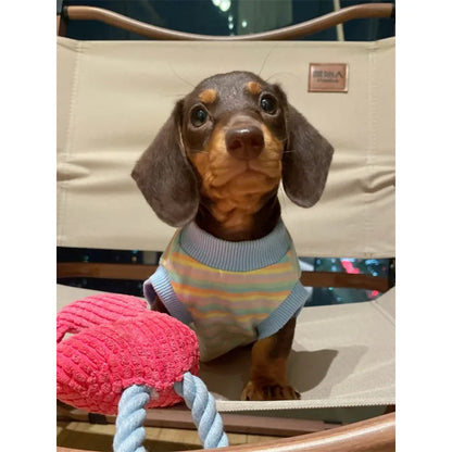 Rainbow dog vest front view