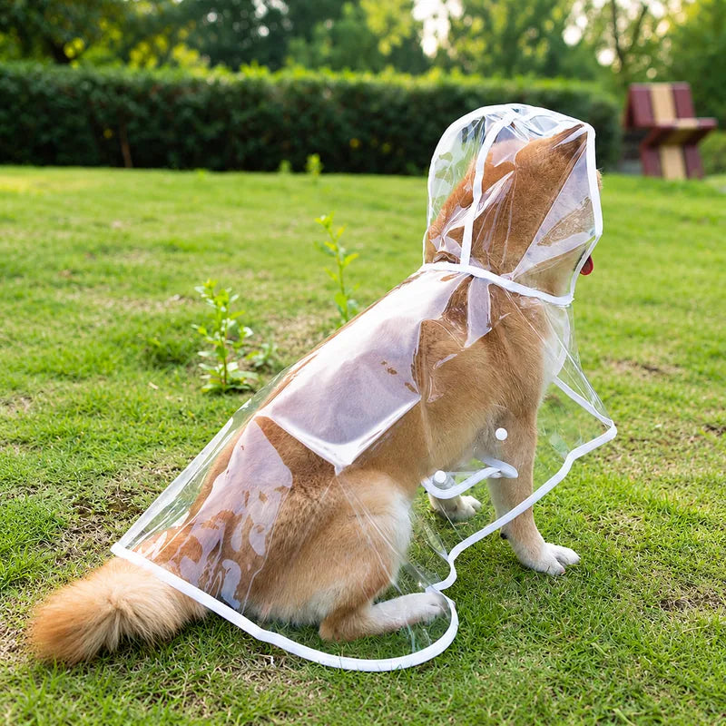 Clear raincoat rear coverage