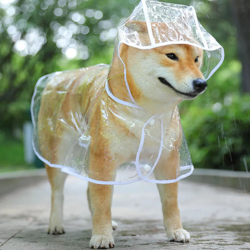 Clear raincoat hood and front view