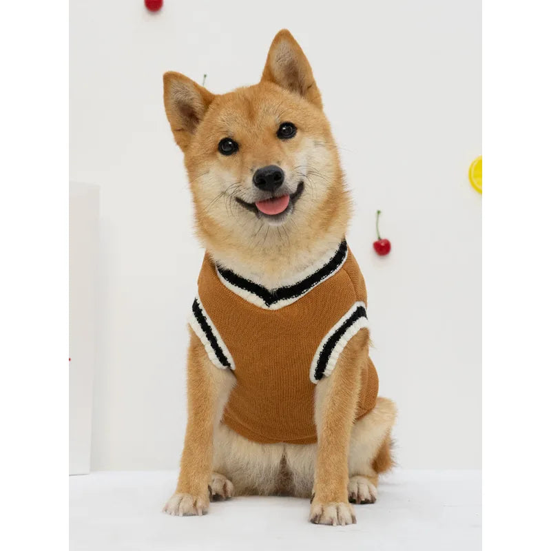 Khaki dog sweater front view