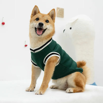 Dark green V-neck dog sweater