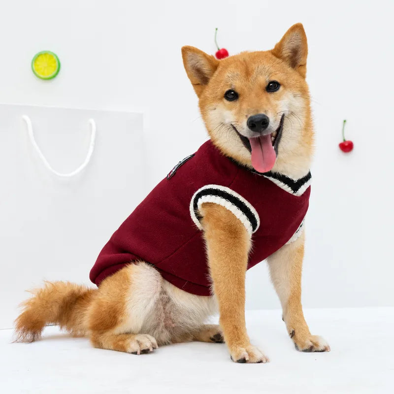 Burgundy V-neck dog sweater