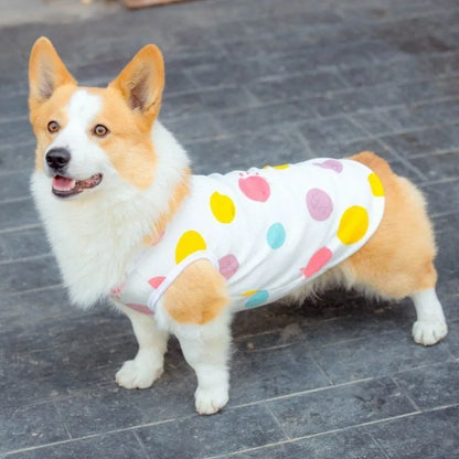 Dog wearing colorful dot-print vest