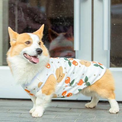 Dog wearing cherry and bear-print vest