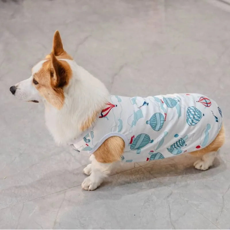 Dog wearing hot-air-balloon-print vest