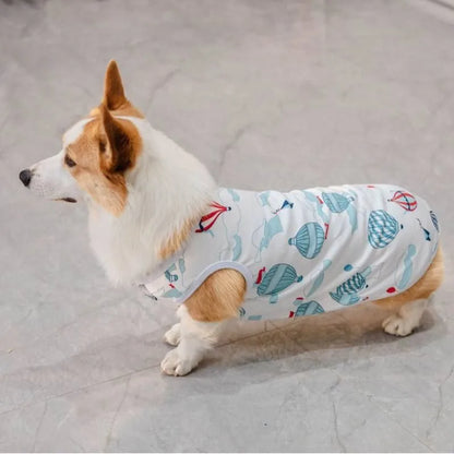 Dog wearing hot-air-balloon-print vest
