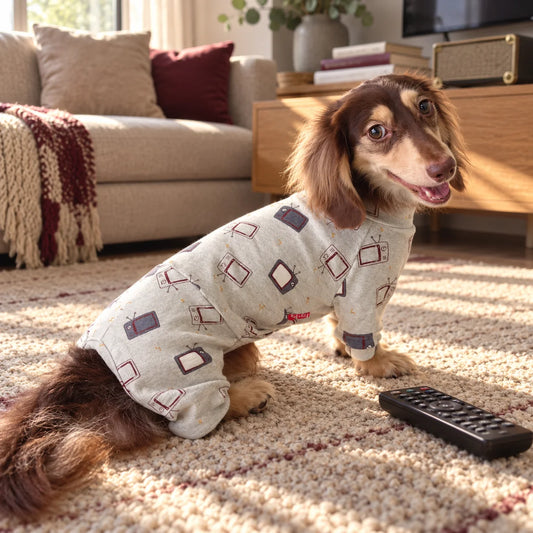 Gray retro television print pet onesie on a dachshund in a modern American media room