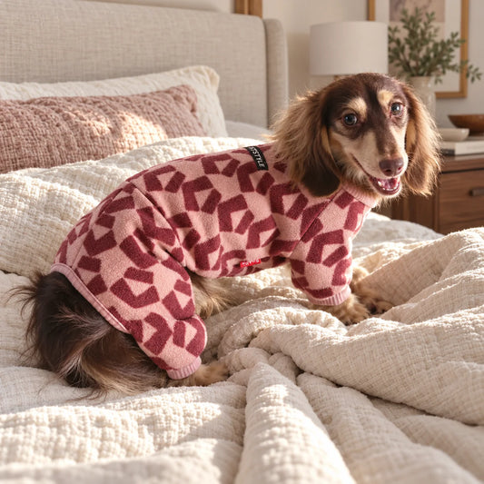Vintage red geometric pet onesie on a dachshund in a modern American bedroom