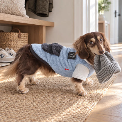 Blue and gray hooded fleece pet coat on a dachshund in a modern American entryway
