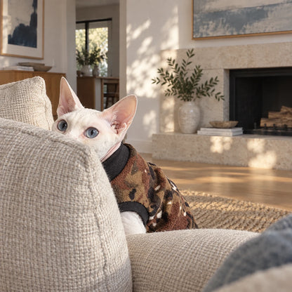 Sphynx cat hiding behind a sofa cushion in a camouflage fleece vest