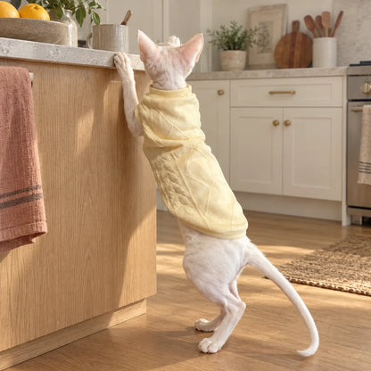 Sphynx cat reaching up in a pale yellow quilted vest