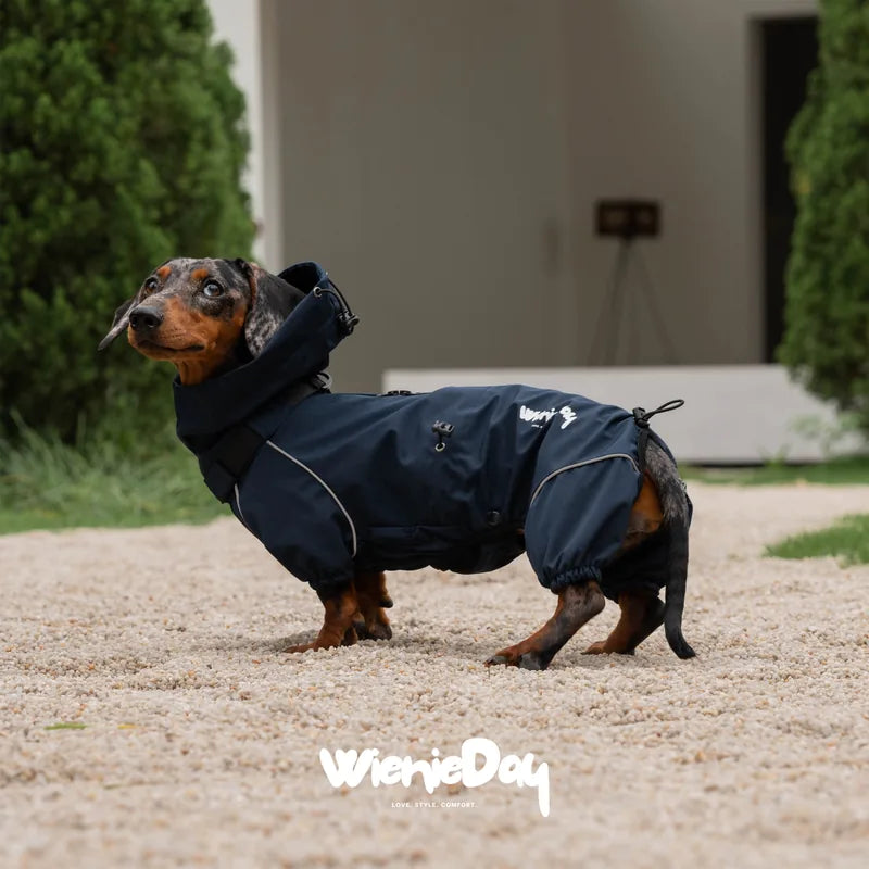 WienieDay Alpine Hooded Dachshund Jacket — product view 1