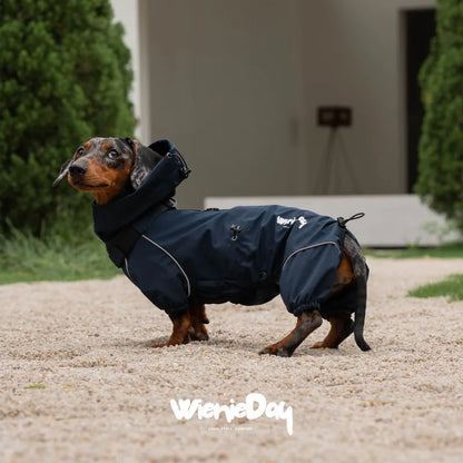 WienieDay Alpine Hooded Dachshund Jacket — product view 1