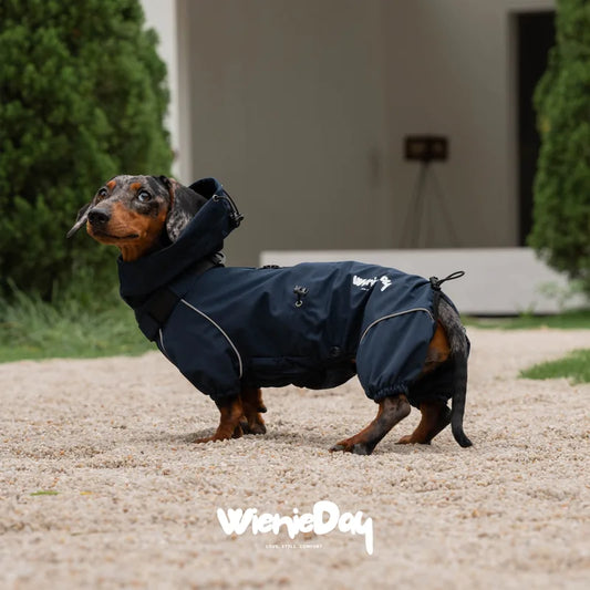 WienieDay Alpine Hooded Dachshund Jacket — product view 1