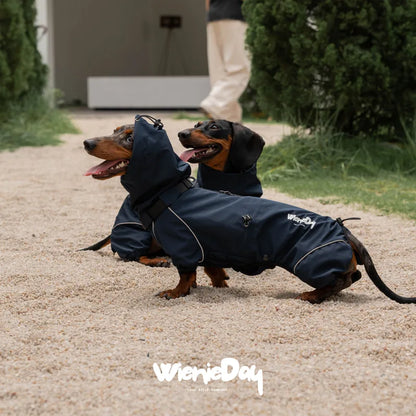 WienieDay Alpine Hooded Dachshund Jacket — product view 2