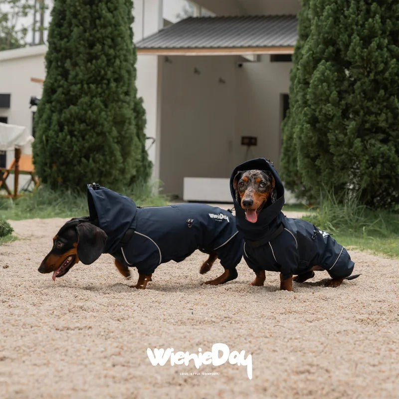 WienieDay Alpine Hooded Dachshund Jacket — product view 3