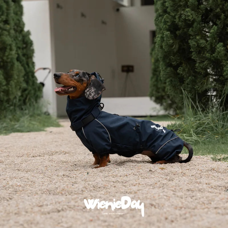 WienieDay Alpine Hooded Dachshund Jacket — product view 4