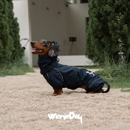 WienieDay Alpine Hooded Dachshund Jacket — product view 4