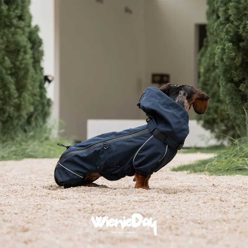 WienieDay Alpine Hooded Dachshund Jacket — product view 5