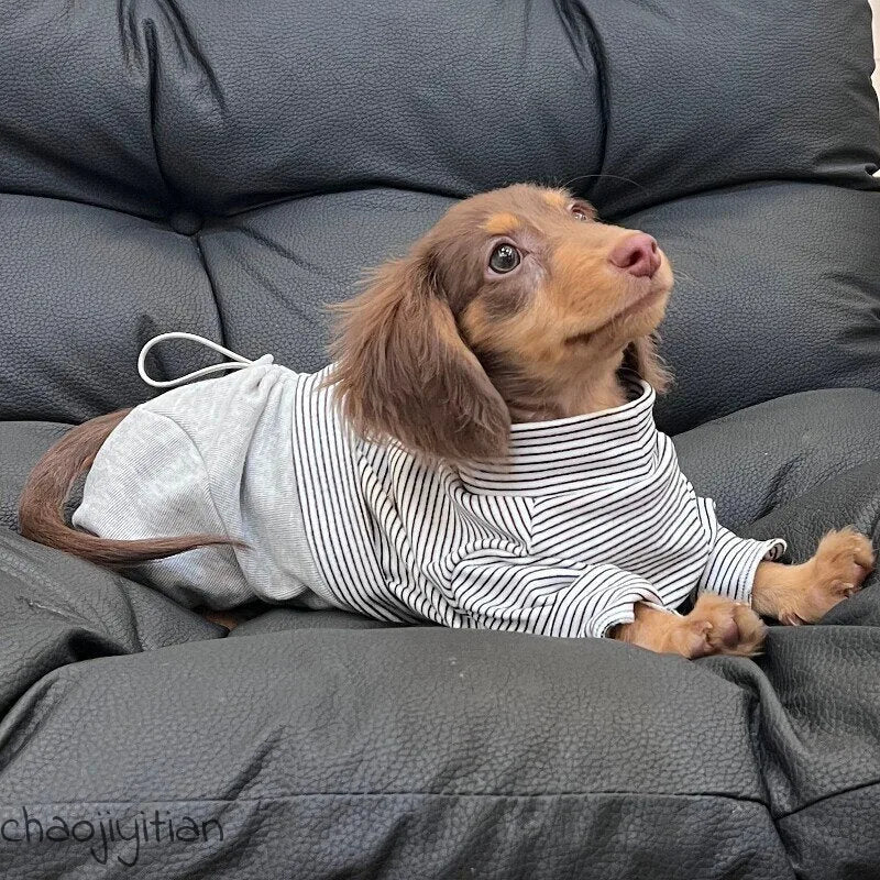 Striped Dachshund Onesie & Hat Options — product view 5