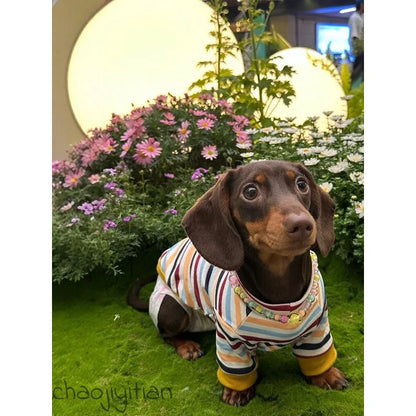 Rainbow Stripe Dachshund Shirt — product view 1