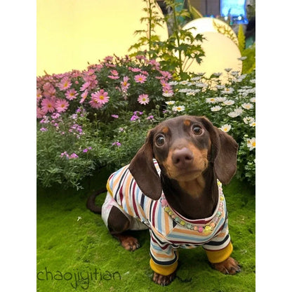 Rainbow Stripe Dachshund Shirt — product view 2