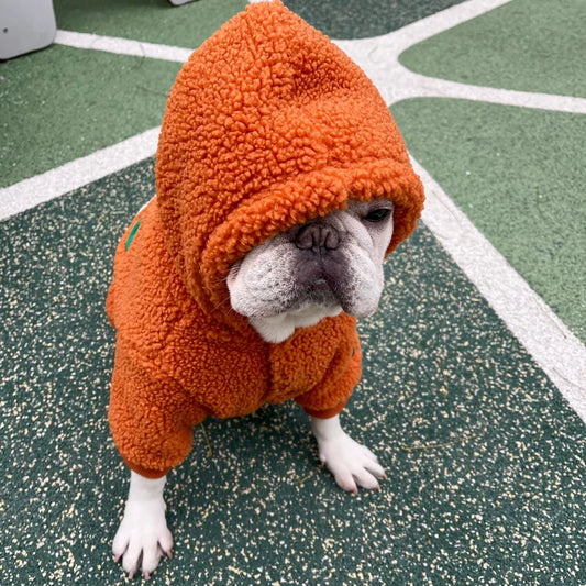 Orange Hooded Dog Coat — detail view 2