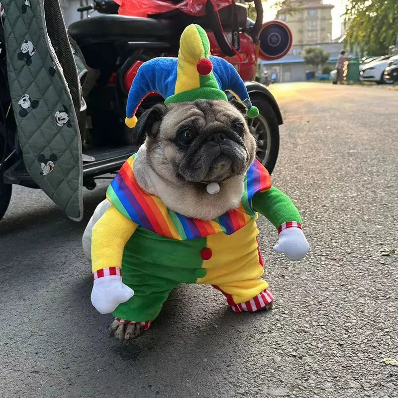 Clown Pet Costume — detail view 2