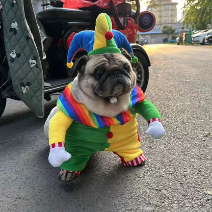 Clown Pet Costume — detail view 2