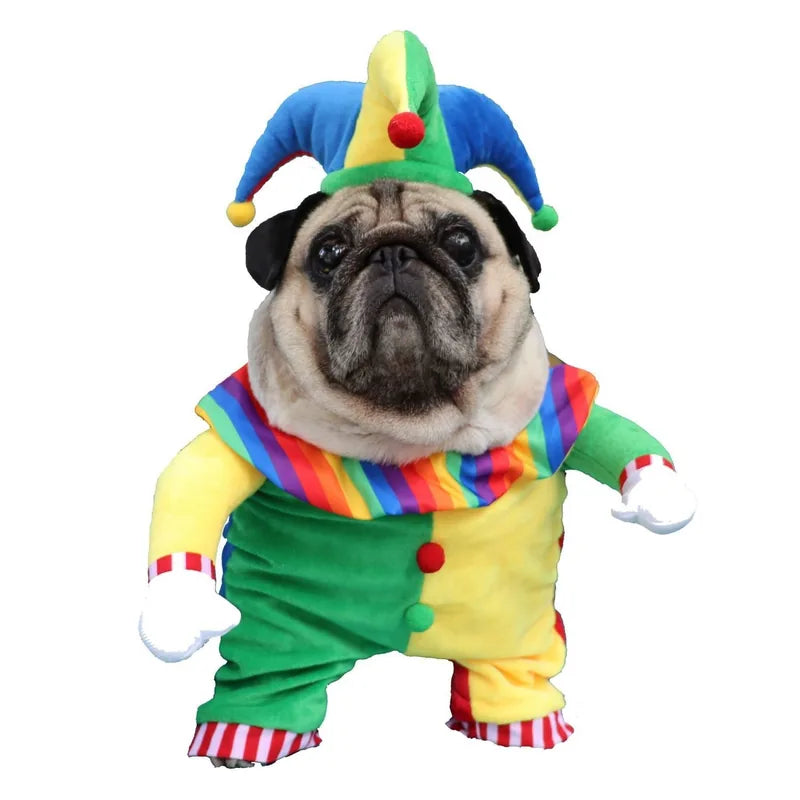 Clown Pet Costume — detail view 5